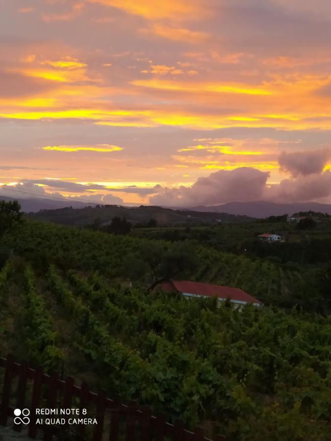 Casa Das Vinhas Velhas By Casa Do Poco 페소다레과 외부 사진